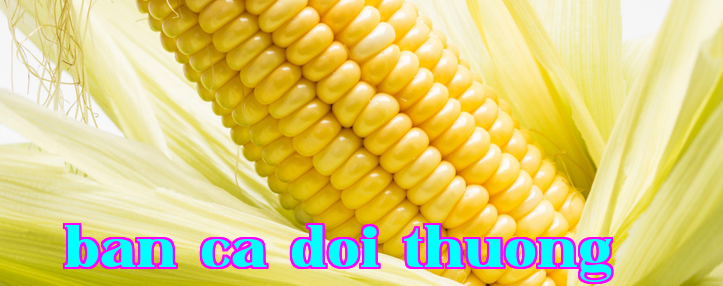 Peptide - Corn